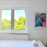 Biwak Bajlando Kamp alanı *