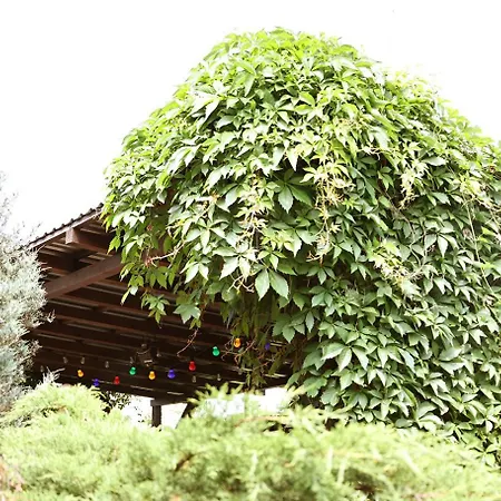 Campsite Biwak Bajlando *