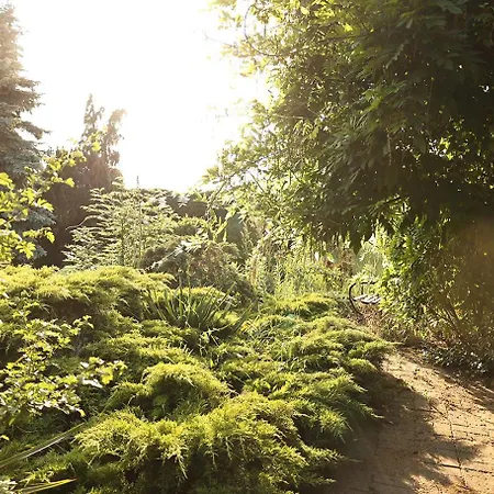 Κάμπινγκ Biwak Bajlando *