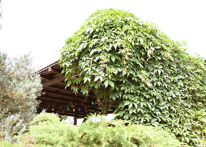 Campsite Biwak Bajlando *