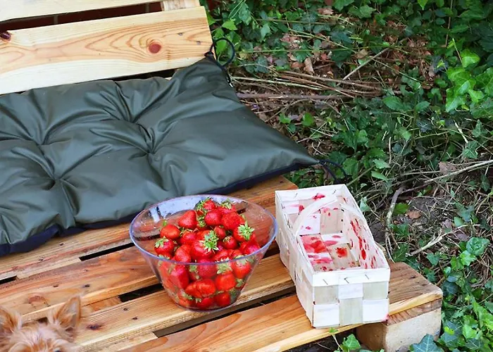 Κάμπινγκ Biwak Bajlando *