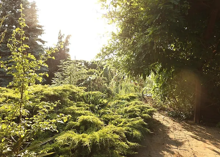 Campsite Biwak Bajlando *